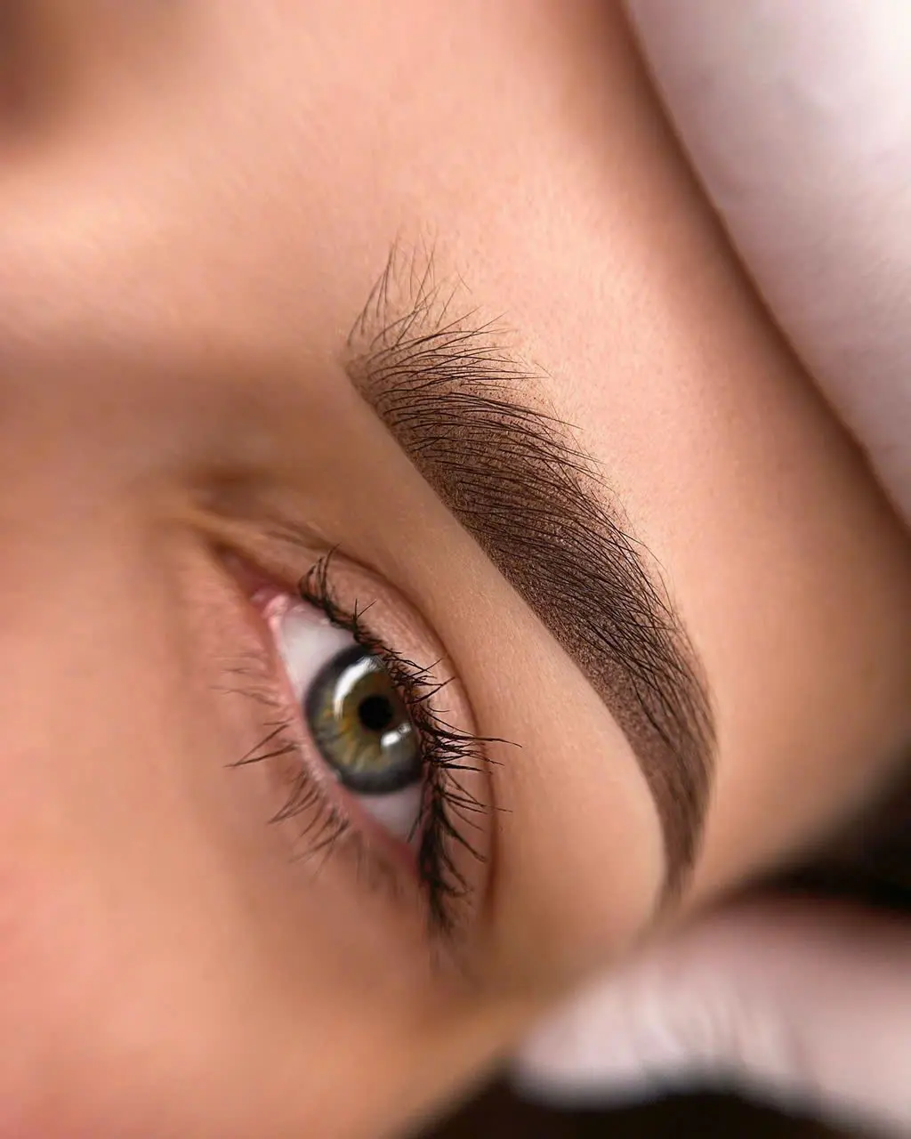 Soft / Velvet Ombre Brows